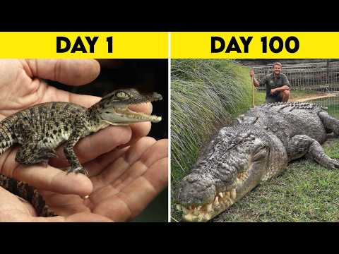 20 Tiny Baby Animals That Turn Into Colossal Giants Within Days