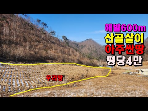 해발600m 산골살이하기 좋은싼땅/평당4만원반값/1375평/전망도좋아요/정선부동산매매/정선땅매매