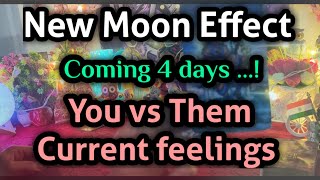 You vs Them on New Moon Current feelings 🌑♈⚡❤️‍🔥all signs collective timeless reading