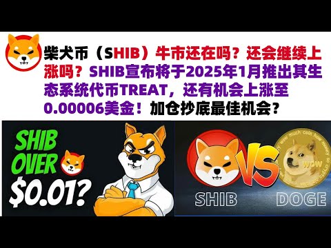 柴犬币（SHIB）牛市还在吗？还会继续上涨吗？SHIB宣布将于2025年1月推出其生态系统代币TREAT，还有机会上涨至0.00006美金！加仓抄底最佳机会？#shib币#柴犬币#屎币行情分析