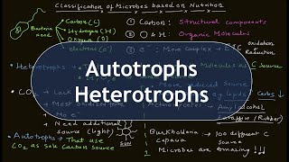 Nutrition Basics | Autotrophs | Heterotrophs | Microbial Nutrition | Basic Science Series