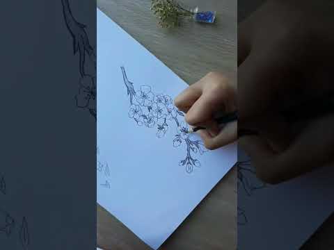 How to draw Cherry Blossom🌸 Step-by-Step drawing...... #art  #stepbystepdrawing  #cherryblossom