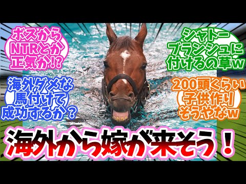 ドウデュース、海外から嫁が来そうに対するみんなの反応集【競馬】