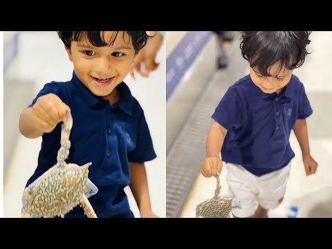 Sea Life |water Front Fish Market Dubai ഒന്ന്  മീൻ വാങ്ങിക്കാൻ പോയി അയിനാണ് 😂