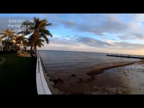 Paradise USA Key West trilogy part III nice beaches relaxing vibes | Pete Renault Travel Vlog