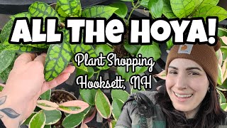 HOYA HEAVEN!! 😍🌿 Plant Shopping at Osborne's Farm & Garden Center in Hooksett, NH 🖤✨️