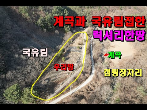 수천만평 국유림과 엄청남계곡접한 아주럭셔리한땅/캠핑장적합/동호인주택/고급별장지/정선부동산매매/정선토지매매