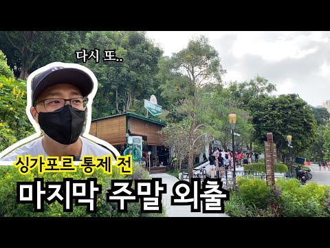 싱가포르 통제 전 마지막 주말 모습 | 포트캐닝 | 티옹바루 베이커리 | 이민생활