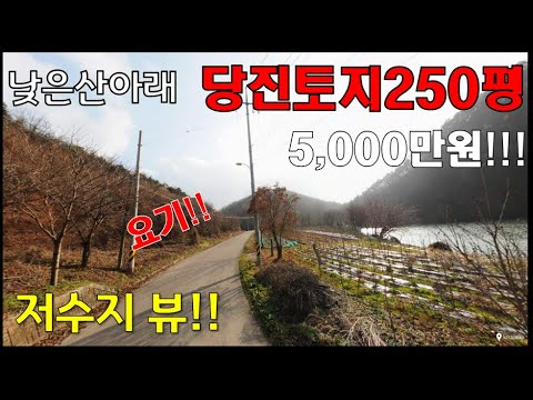 ★가격인하★저수지보이는 당진싼땅 - 산자락아래 250평 [매매: 5천만원]-싼임야 - 전원주택지, 주말주택지, 세컨하우스, 시골주택,  집짓고 살기좋은 곳