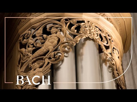 Bach - Trio super Herr Jesu Christ BWV 655 - Van Doeselaar | Netherlands Bach Society