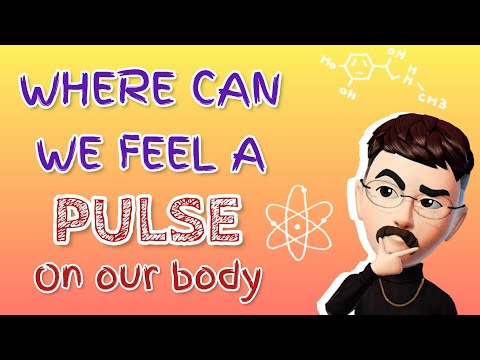 Finding Your Pulse: Know Where to Feel It on Your Body 🤔 | Dr. Deen Lectures