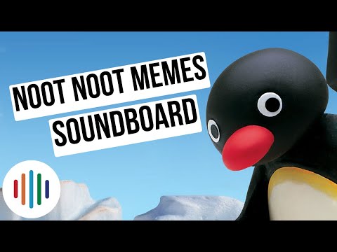 NOOT NOOT meme Compilation! #nootnoot #pingu | Free Download [HQ]