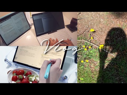 [KOREA MED SCHOOL VLOG #12] Study week l Small test period l Summer coming!