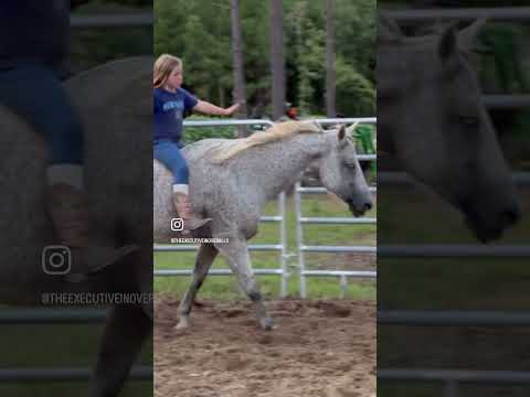 From Baby Girl to Cowgirl!  Ellie at 1.5 riding and now at 8!