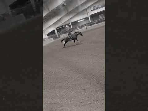 got stuck at third my sister run on new horse