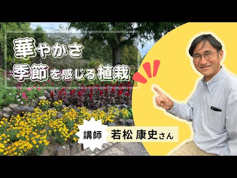 【花】華やかさ 季節感のある植栽の作り方