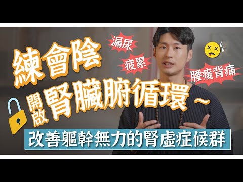 【阿銘師x鍼還傳】頻頻疲倦、久坐腰痛！身體桶狀結構不給力，「腎虛症候群」怎麼辦？