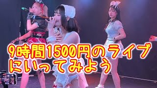 予算1600円で地下アイドルのライブに行ってみよう　#9時間1500円 のライブにいく方法 #わたあめふわり ちゃんに会おう