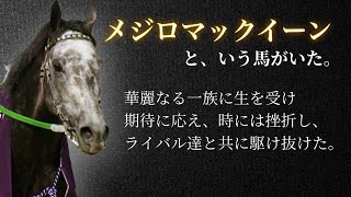 【最強のステイヤー】メジロマックイーン🏇