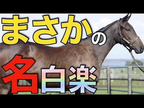 あのトップトレーナーにまさかの預託馬！かなり貴重な機会になりそう。