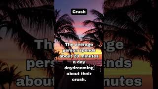 CRUSH FACTS #CrushChronicles#HeartFlutter#CrushConfessions#ButterfliesInStomach#CrushCult