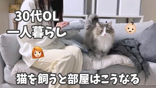 【一人暮らし】猫を飼う前に見て欲しい。30代独身OL、賃貸マンションで猫を飼うのは大変？