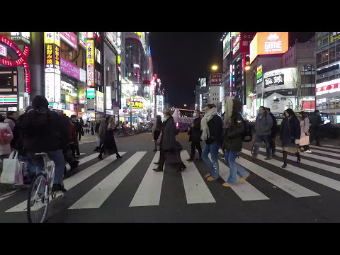 Kabukicho Sightseeing at Night, Tokyo Bicycle Rides, 歌舞伎町 自転車