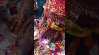 somvati amavasya brat puja #shorts #shortsvideo #youtubeshortsvideo #bhaktisadhna