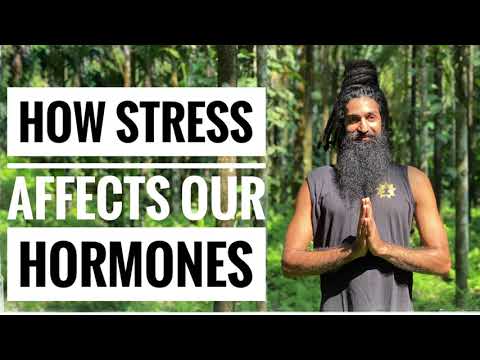 How Stress Affects our Hormones and Physical Body