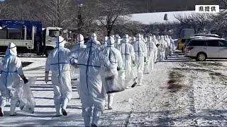 盛岡の養鶏場で鳥インフルエンザ確認　岩手県内では過去最多の処分数　 (25/01/11 18:30)