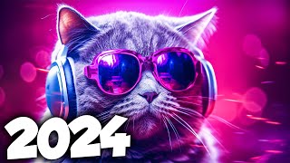 MÚSICA ELETRÔNICA 2024 🔥 AS MÚSICAS ELETRÔNICAS MAIS TOCADAS 🔥 Alok, Vintage Culture & David Guetta