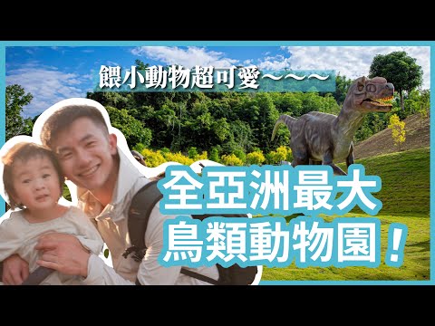 全亞洲最大鳥類動物園！斥資上億好玩嗎？｜南投九九峰動物樂園｜豬豬隊友 Scott & Wendy