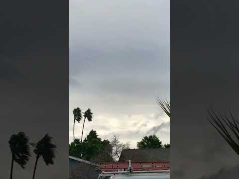 26 MPH WINDS IN CALI #reels #windy #sound #storm #cloudy #weather #shorts #ytshorts #viral #crazy