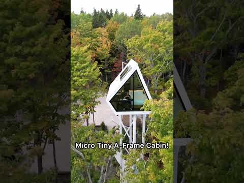 Tiny A-Frame Cabin Treehouse Airbnb! (40ft Up In The Air)