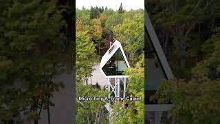 Tiny A-Frame Cabin Treehouse Airbnb! (40ft Up In The Air)