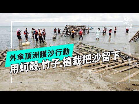 留沙‧外傘頂洲｜政府與民間的合力護沙行動(我們的島 第1274集 2024-09-23)