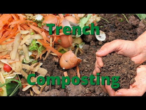 Compost in your garden beds