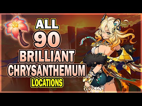 All 90 Brilliant Chrysanthemum Locations - Efficient Farming Route | Genshin Impact