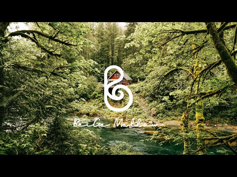 4K Nature Video, calming piano music, and peacefulness.