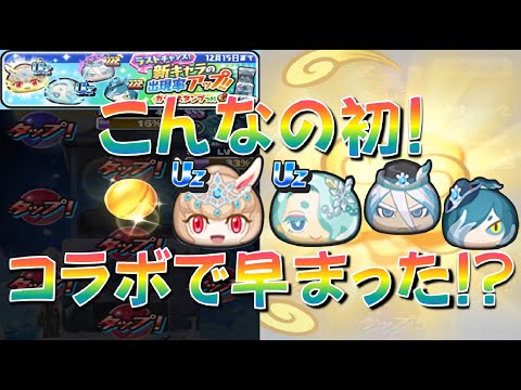 【ラストチャンスガシャがいつもと違う!】新キャラ確定枠もあるラストチャンスガシャを回してみた　開園スノーパレスパーク　妖怪ウォッチぷにぷに Yo-kai Watch