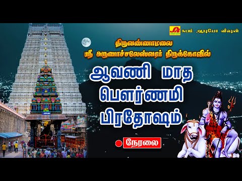 🔴  LIVE திருவண்ணாமலை பெரிய நந்தி ஆவணி மாத பௌர்ணமி பிரதோஷம் அபிஷேகம் மற்றும் ஆராதனை #liveproadhasham