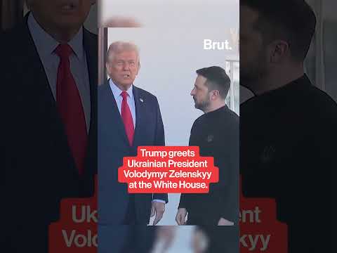 Trump Greets Zelenskyy at the White House