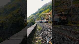 Photoshoot in summer 🌞🏝️ #music #nature #adventure #photography #trainphotography #shorts #trending