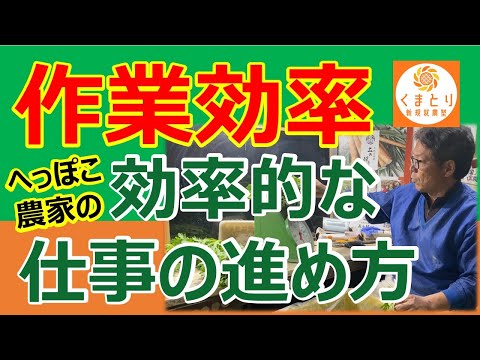 ひとつの仕事を集中してやるべきか　いろんな仕事を一度にやるべきか