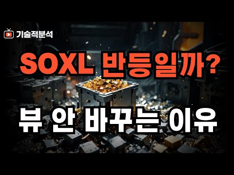 SOXL 미국 주식 반도체 진짜 반등일까? 엔비디아 테슬라 향후 전망