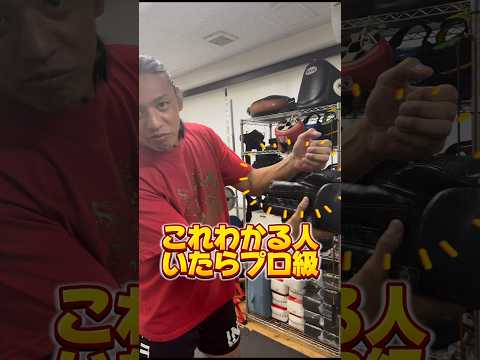 これわかる人プロ級！シャドーの秘密#格闘技 #鈴木悟 #ボクシング