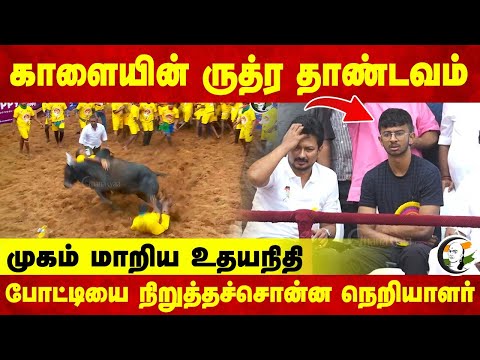 காளையின் ருத்ர தாண்டவம் முகம் மாறிய Udhayanidhi | Alanganallur | Jallikattu | DMK | Madurai