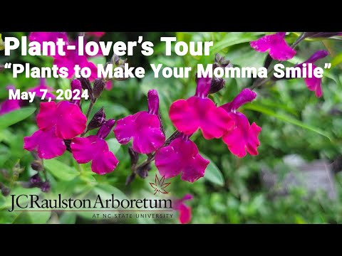 Plant-lover's Tour - "Plants to Make Your Momma Smile"