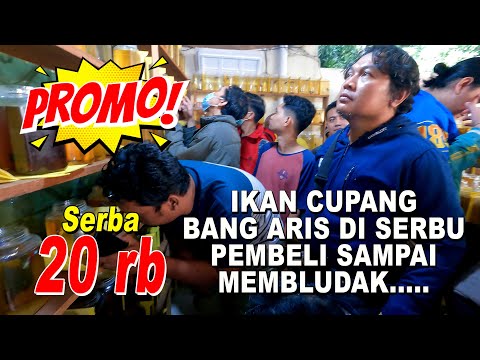 IKAN CUPANG BANG ARIS DI SERBU PEMBELI