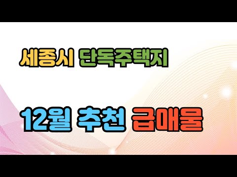 세종시 단독택지 12월 추천 급매물